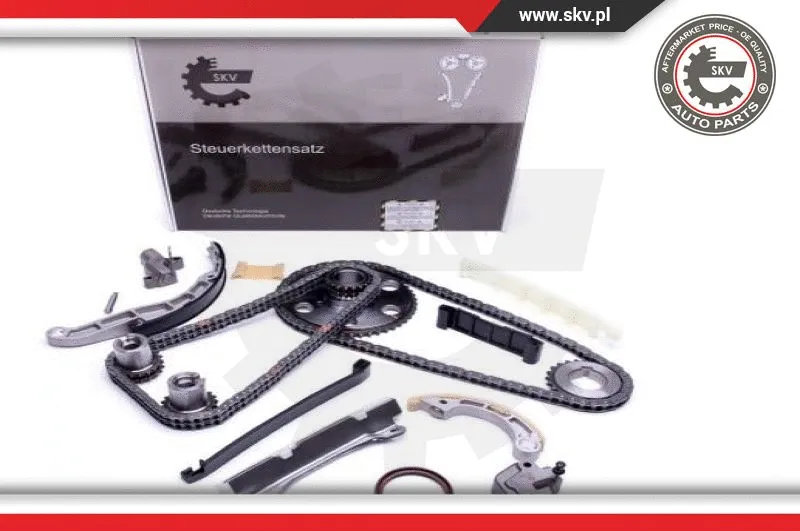 Timing Chain Kit (21SKV204)