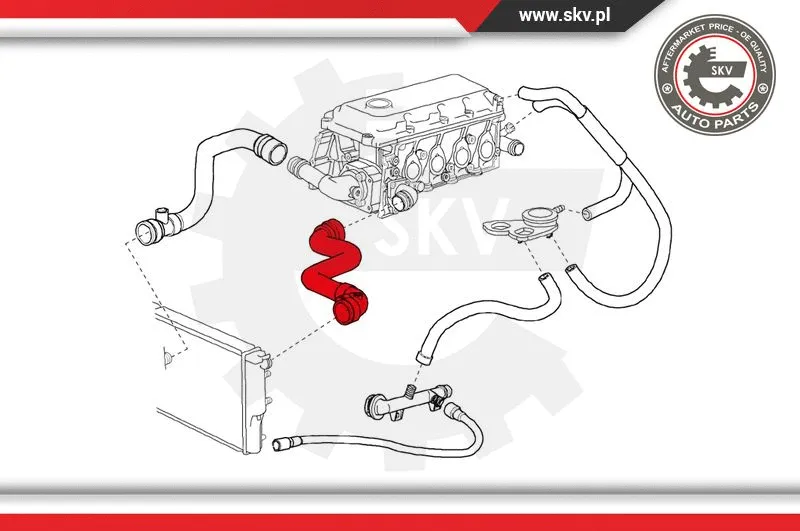 Radiator Hose