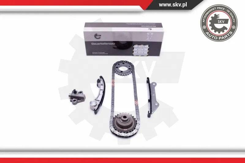 Timing Chain Kit (21SKV205)