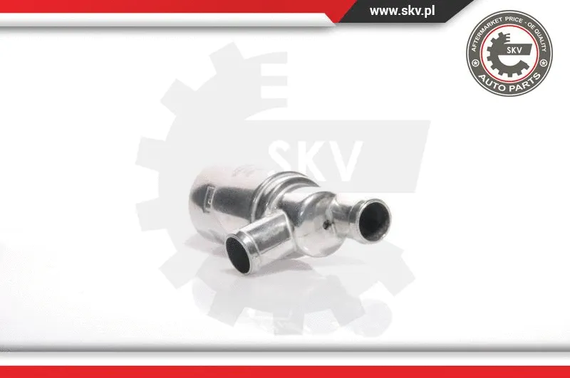 Idle Control Valve, air supply (08SKV206)