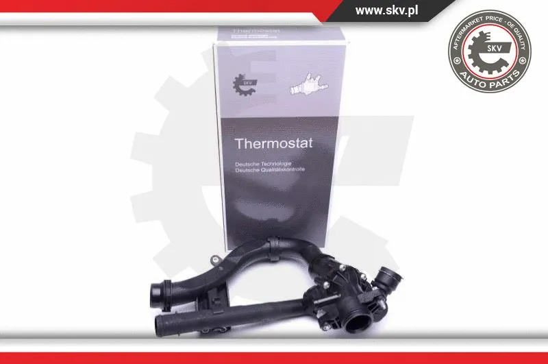 Thermostat, coolant (20SKV121)