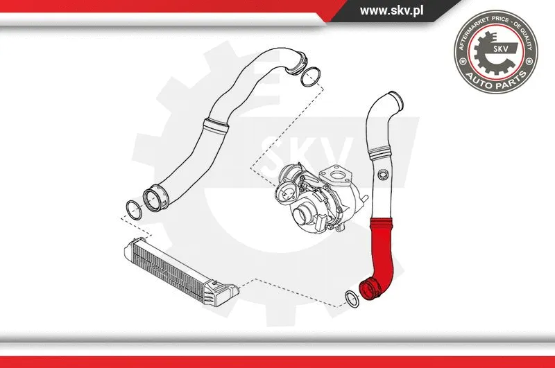 Charge Air Hose (24SKV214)