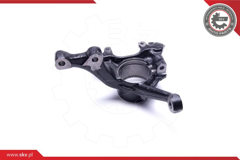 Steering Knuckle, wheel suspension