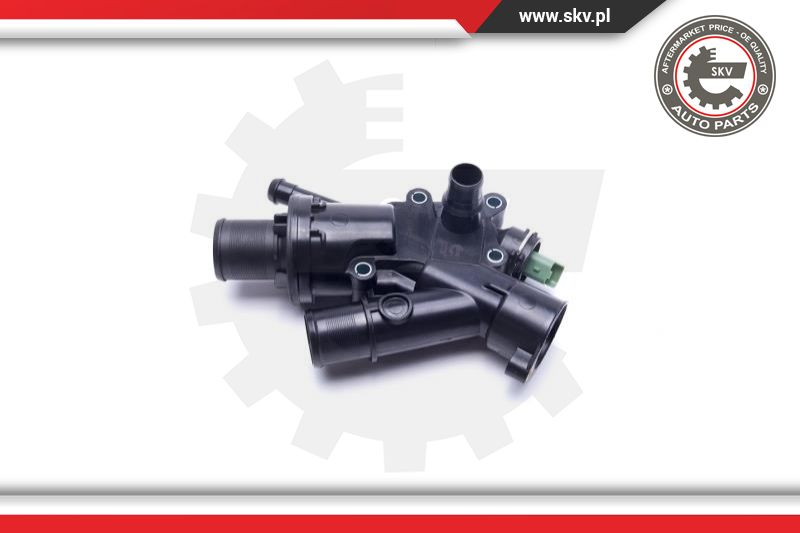 Thermostat, coolant