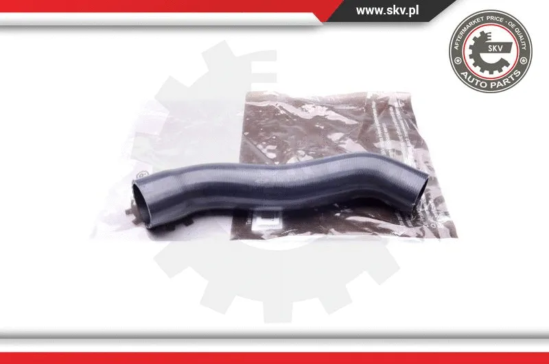 Charge Air Hose (43SKV079)
