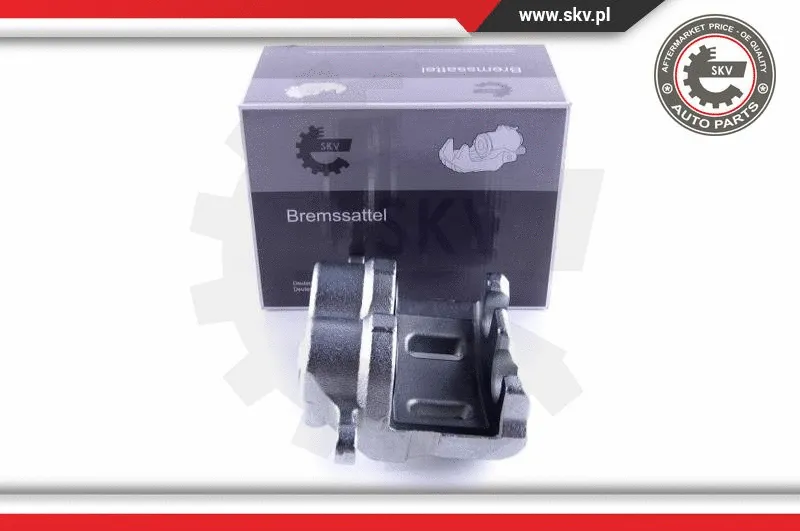 Brake Caliper (55SKV522)