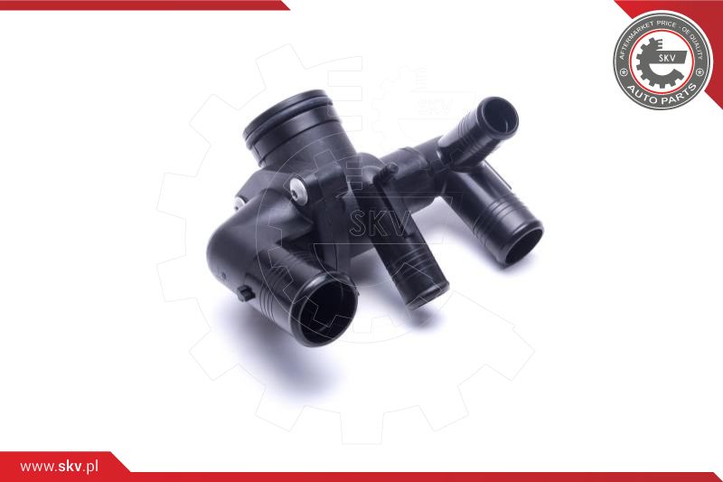 Thermostat, coolant