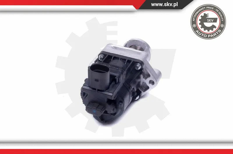 EGR Valve