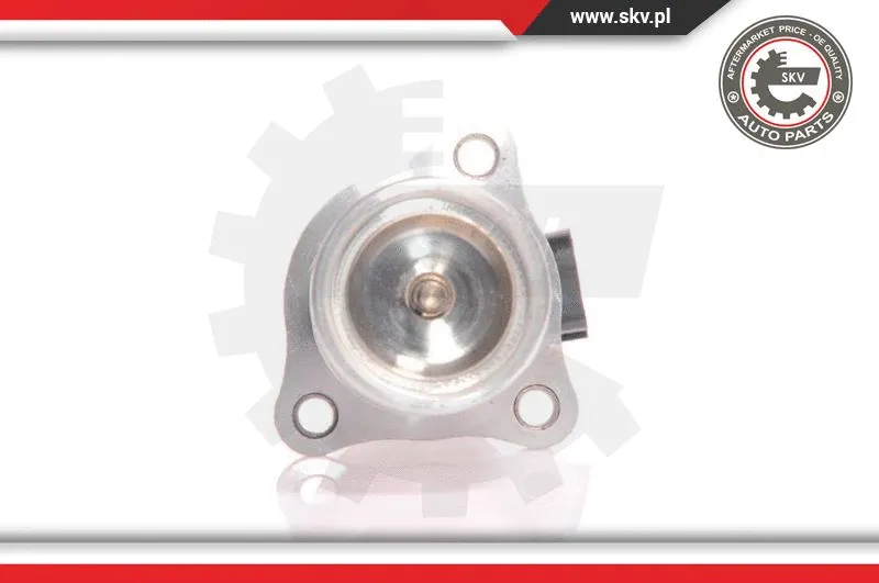 EGR Valve (14SKV010)