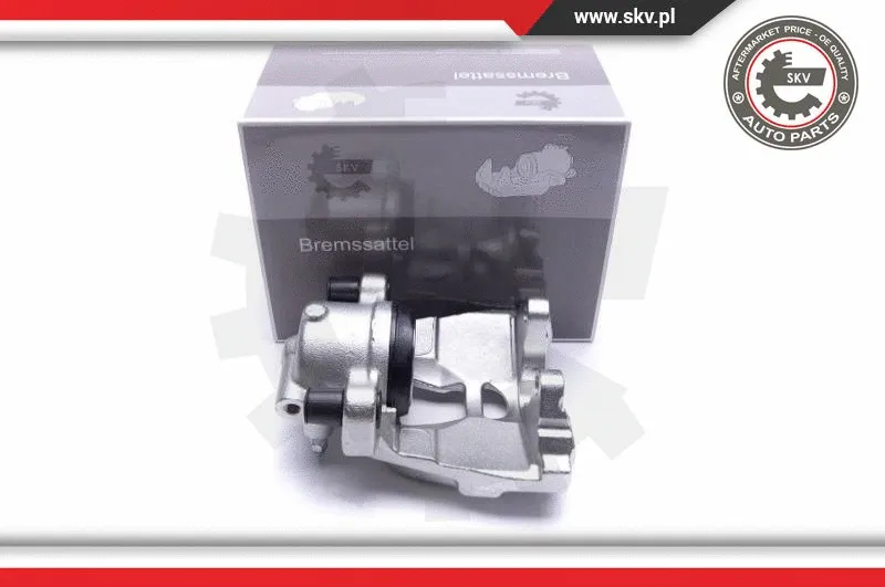 Brake Caliper (55SKV491)