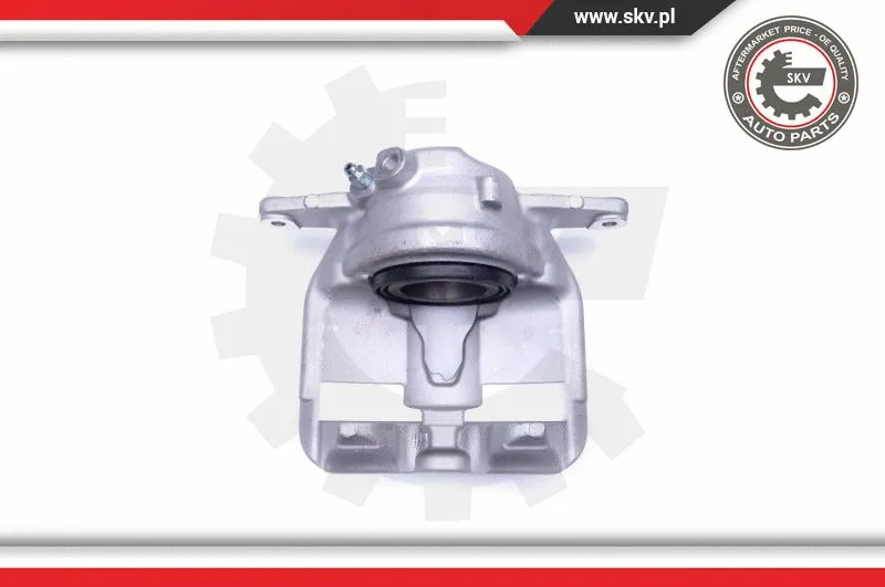 Brake Caliper (44SKV512)