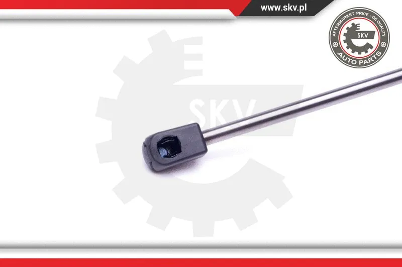 Gas Spring, boot/cargo area