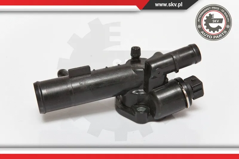 Thermostat, coolant