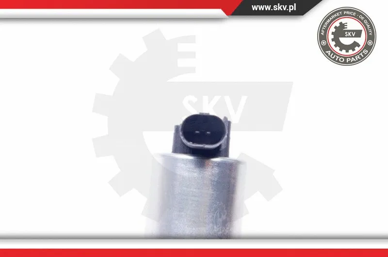 EGR Valve