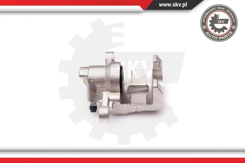 Brake Caliper (34SKV334)