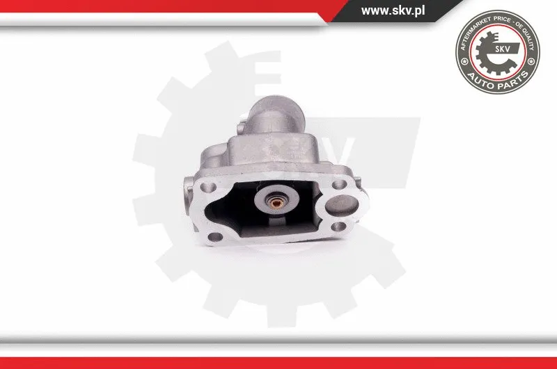 Thermostat, coolant