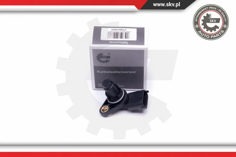 Sensor, camshaft position (17SKV503)