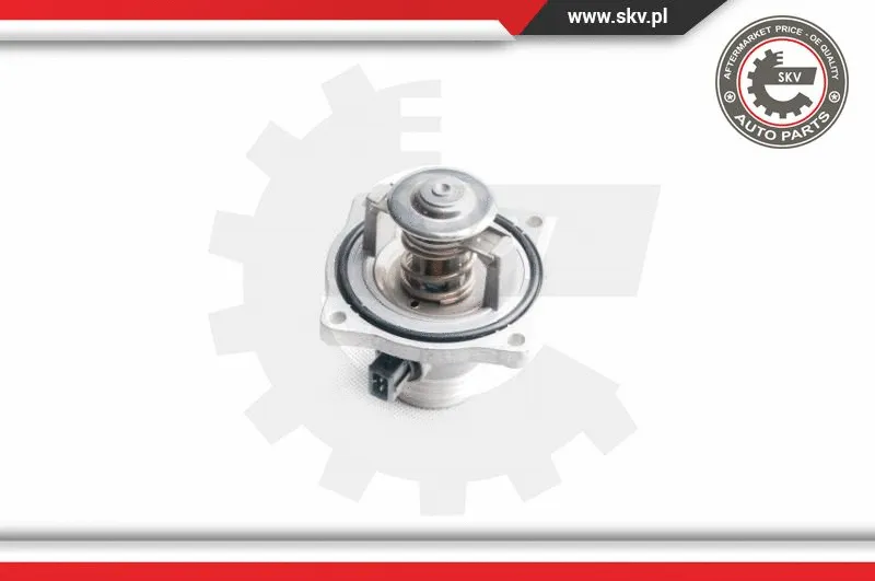 Thermostat, coolant