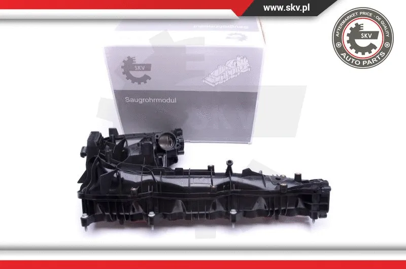 Intake Manifold Module (49SKV019)