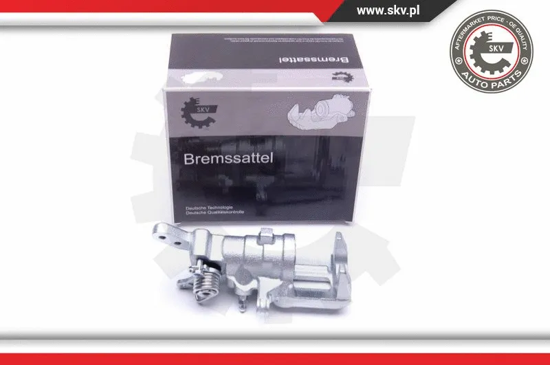 Brake Caliper (42SKV574)