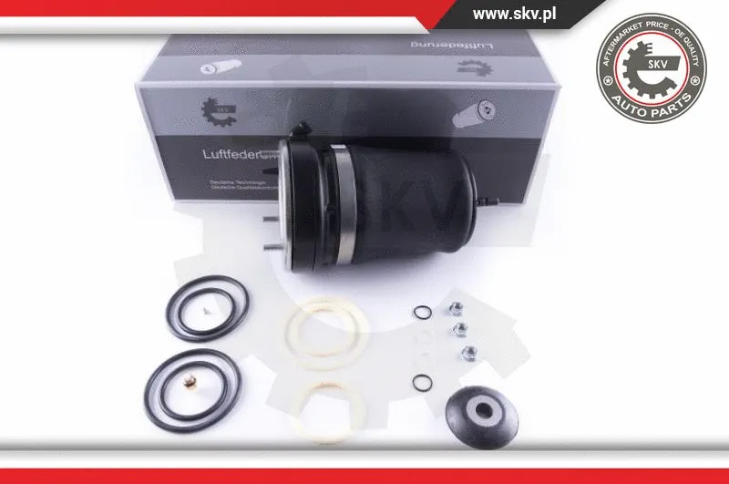 Air Spring, suspension (58SKV053)