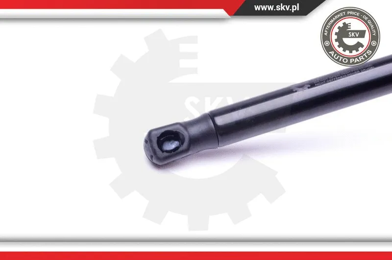 Gas Spring, boot/cargo area