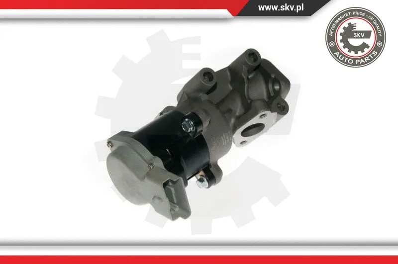 EGR Valve