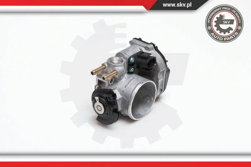 Throttle Body (12SKV002)