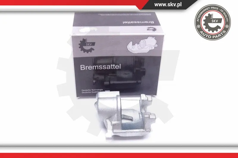 Brake Caliper (42SKV793)