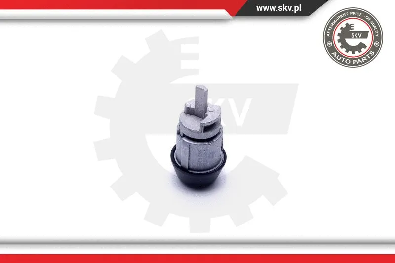 Steering Lock