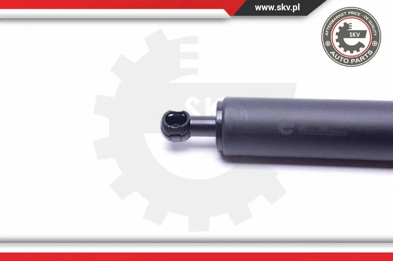 Gas Spring, boot/cargo area