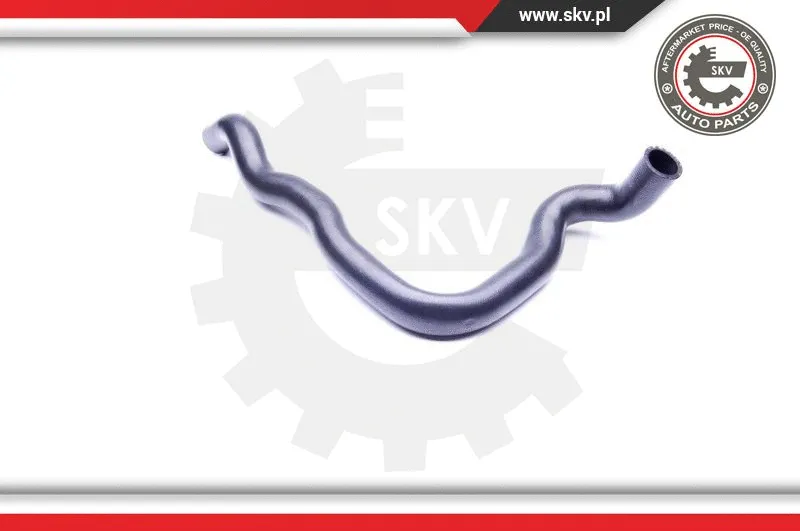 Radiator Hose