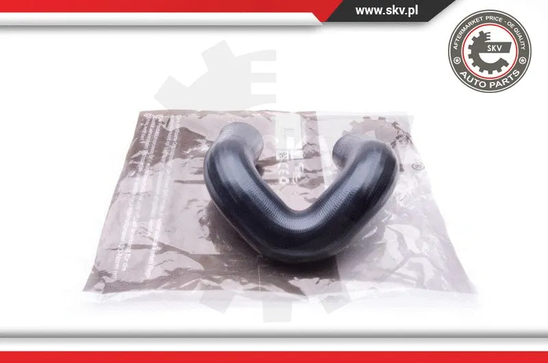 Charge Air Hose (24SKV169)
