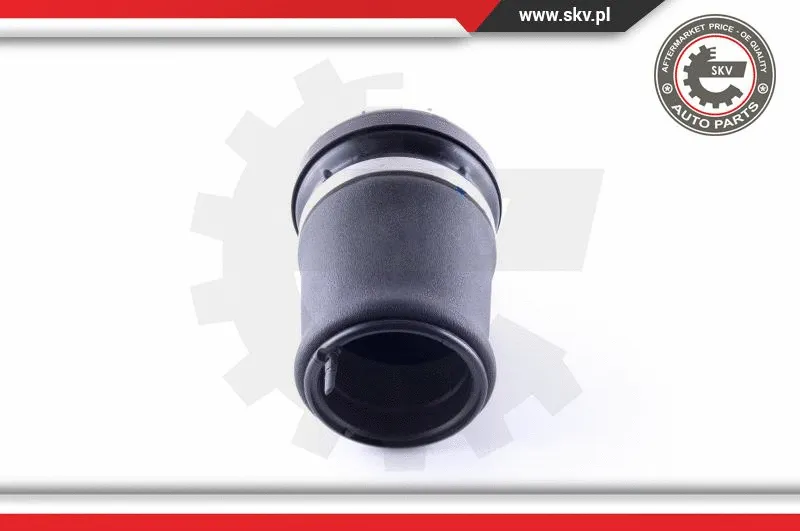 Air Spring, suspension