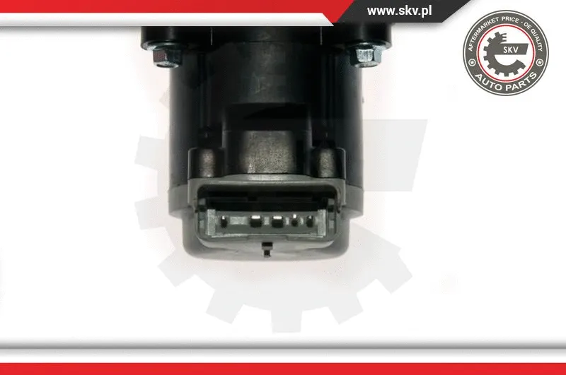 EGR Valve