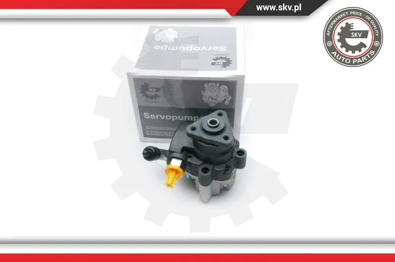 Hydraulic Pump, steering (10SKV191)