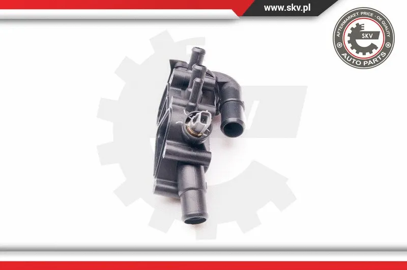 Thermostat, coolant