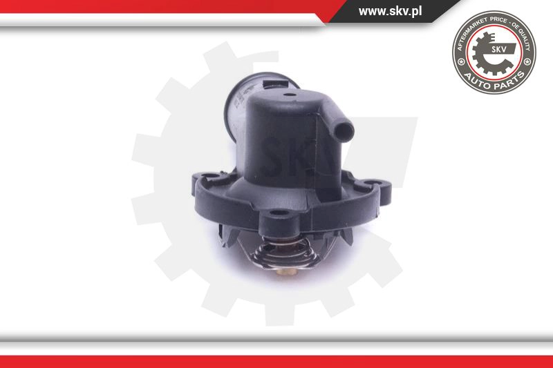 Thermostat, coolant