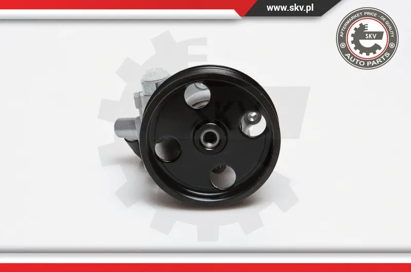 Hydraulic Pump, steering (10SKV024)
