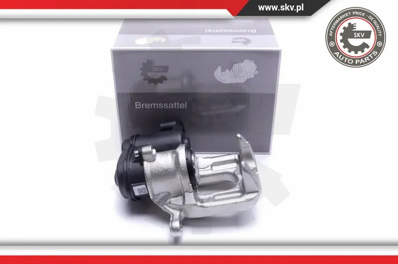 Brake Caliper (55SKV424)