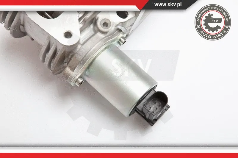 EGR Valve