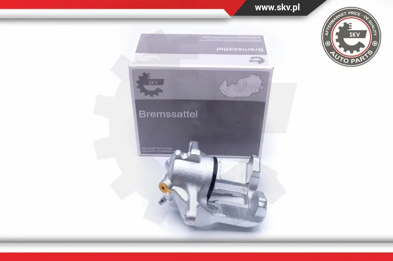 Brake Caliper (42SKV761)