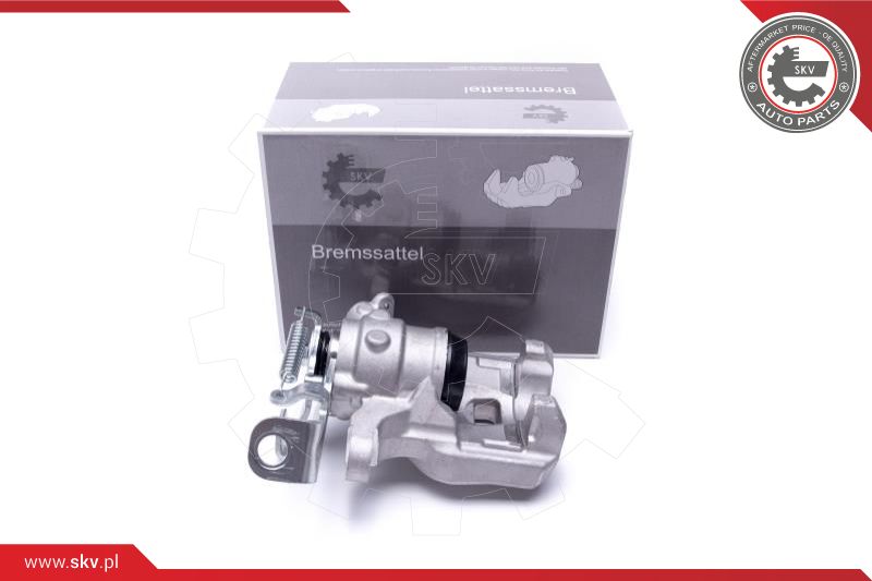 Brake Caliper (55SKV844)