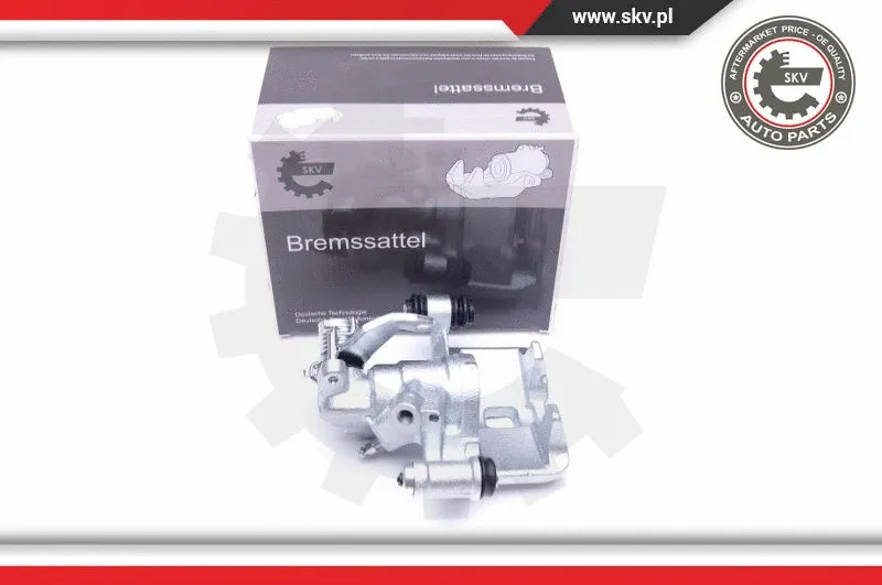 Brake Caliper (42SKV813)