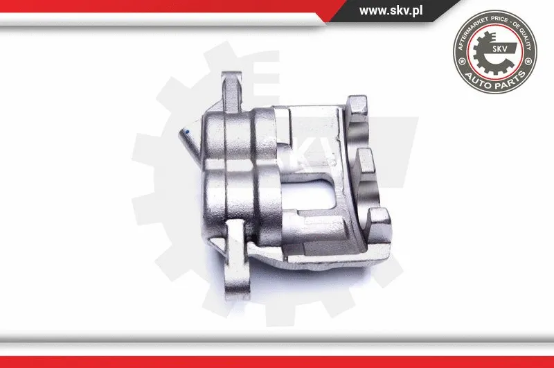 Brake Caliper (44SKV792)