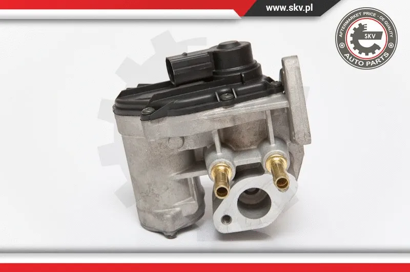EGR Valve (14SKV086)