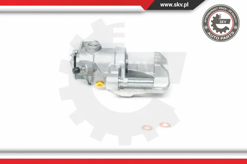Brake Caliper (23SKV124)