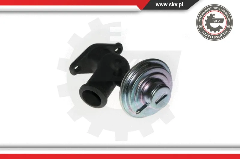 EGR Valve