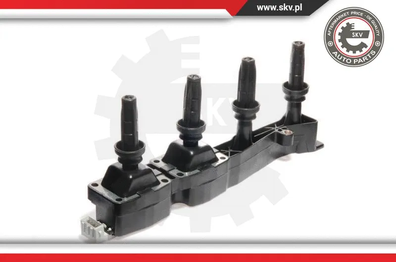 Ignition Coil (03SKV074)