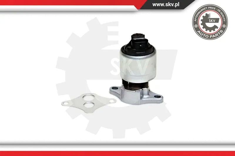 EGR Valve